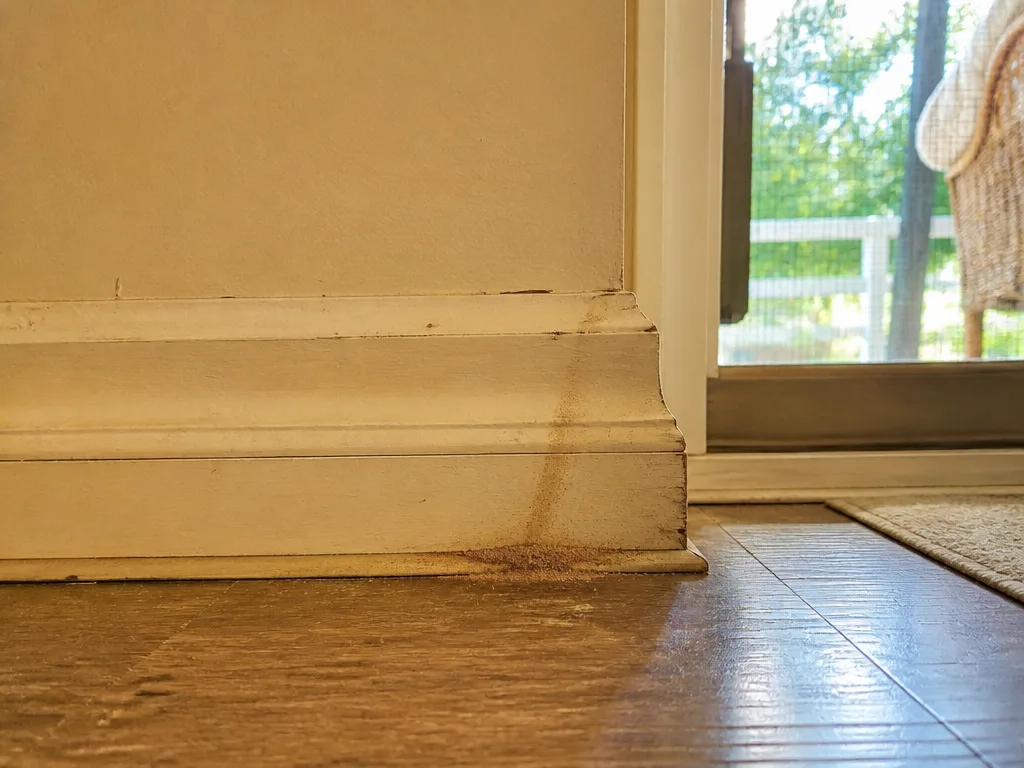 Common warning signs of pest activity in Alabama homes